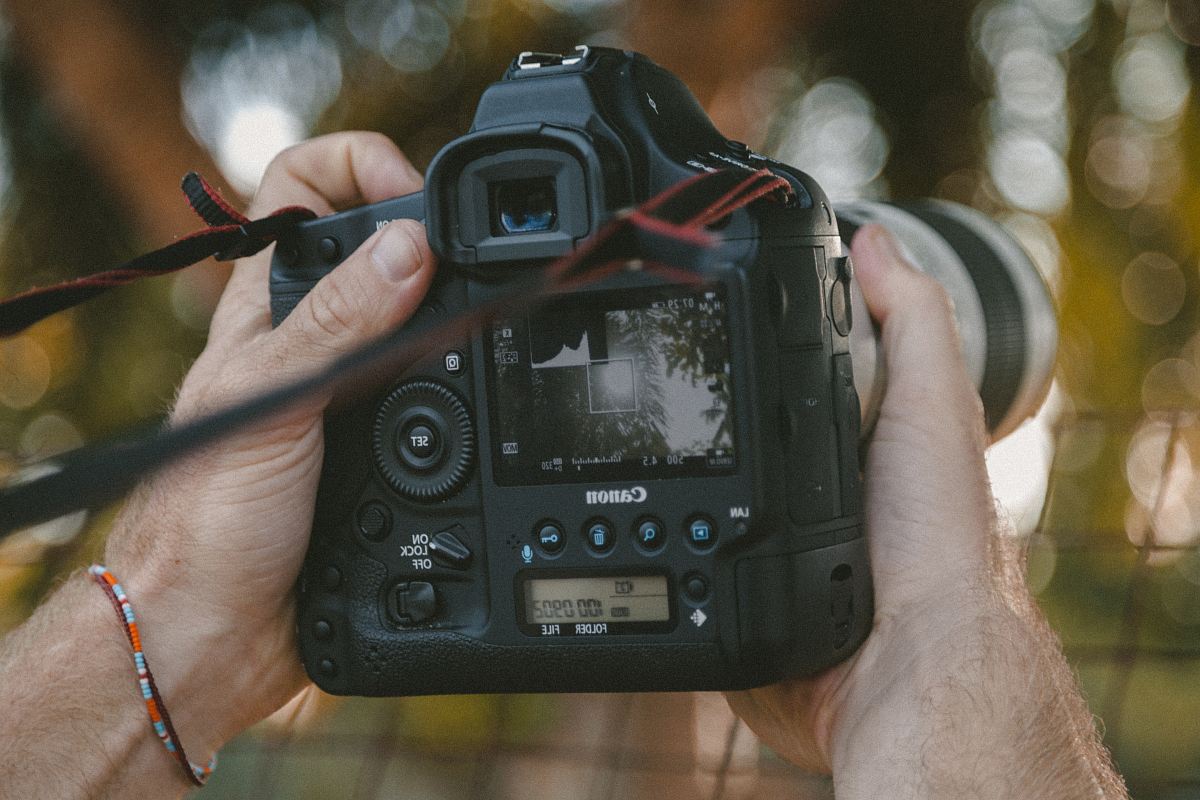 person holding DSLR camera